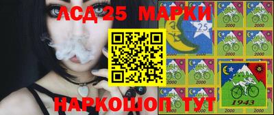 СК Новокубанск