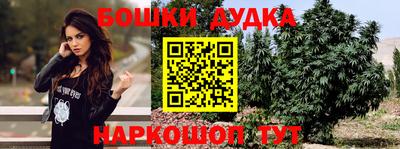 СК Новокубанск