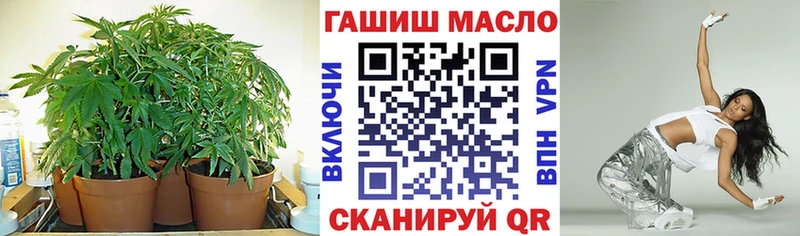 Дистиллят ТГК концентрат  сколько стоит  мориарти Telegram  Бирск  hydra зеркало 