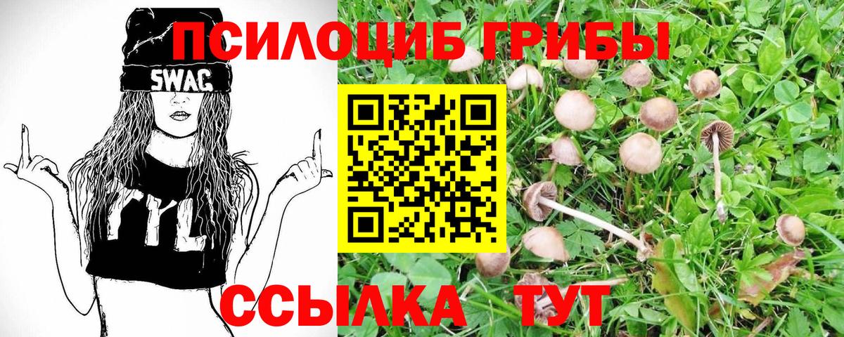 Псилоцибиновые грибы Magic Shrooms Бирск