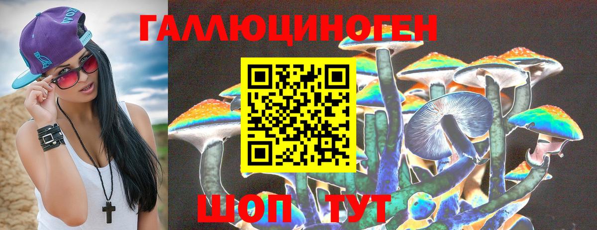 Бирск  Псилоцибиновые грибы мицелий  Псилоцибиновые грибы Cubensis  Вход с VPN 